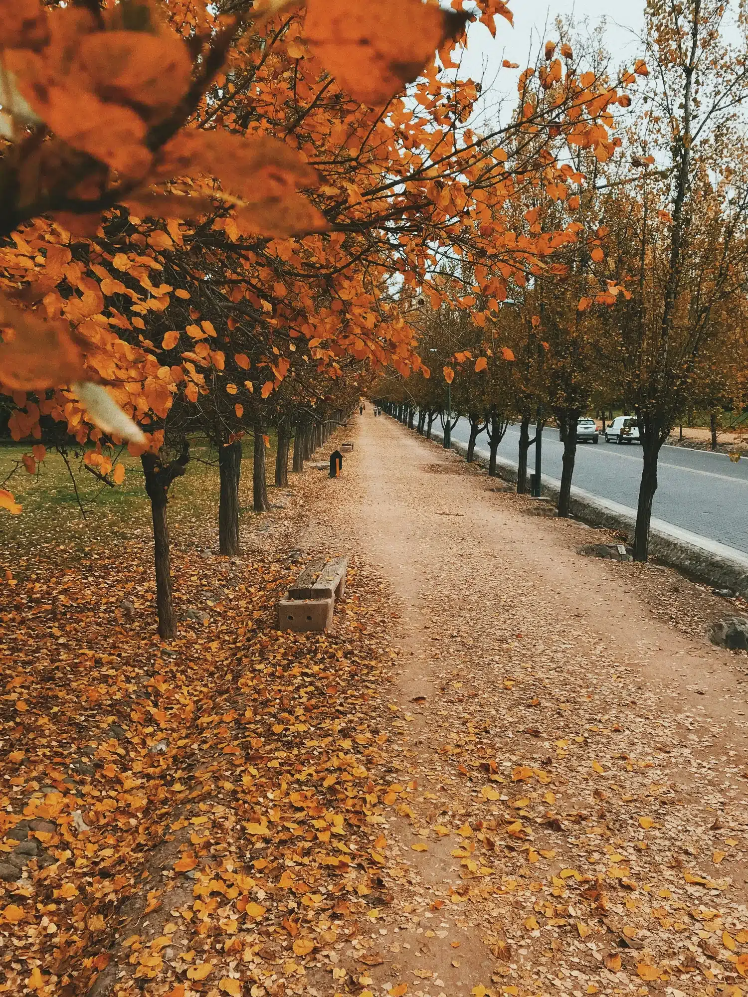 eder-oliveira-ErDp4GskGMc-unsplash Eder oliveira erdp4gskgmc unsplash
