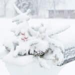 Gary meulemans f9ZXwmosc3E unsplash